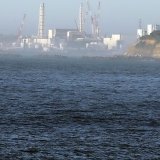 "Nous avons pu confirmer que les premiers rejets d'eau ne contenaient pas de radionucléides à des niveaux nocifs", a dit Rafael Grossi, directeur de l'AIEA.